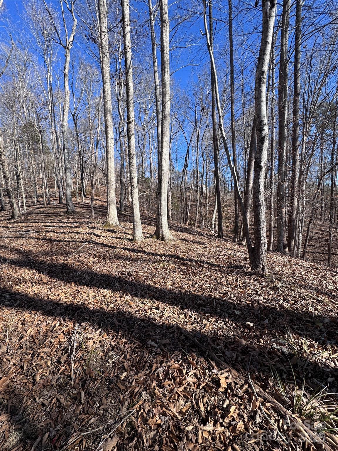 0 Cross Creek Drive Rutherfordton NC 28139