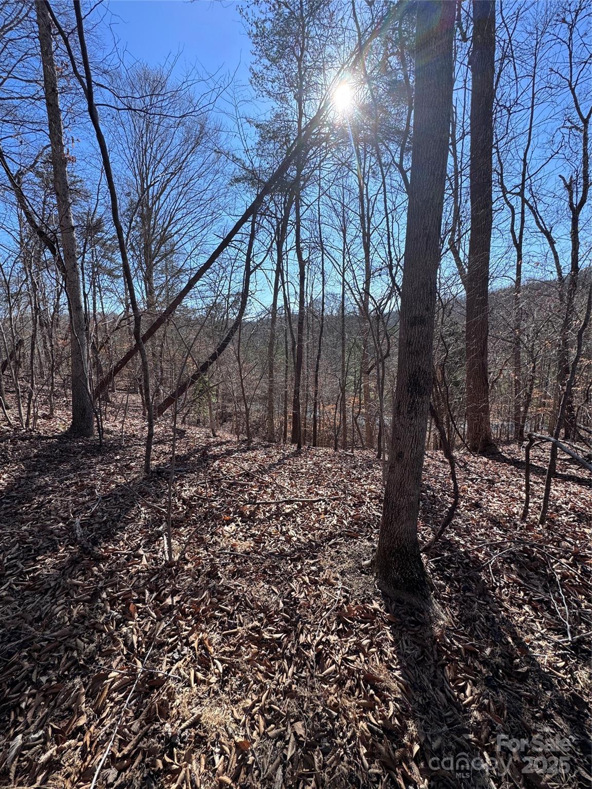 0 Cross Creek Drive Rutherfordton NC 28139