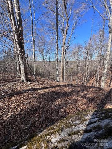 0 Cross Creek Drive Rutherfordton NC 28139