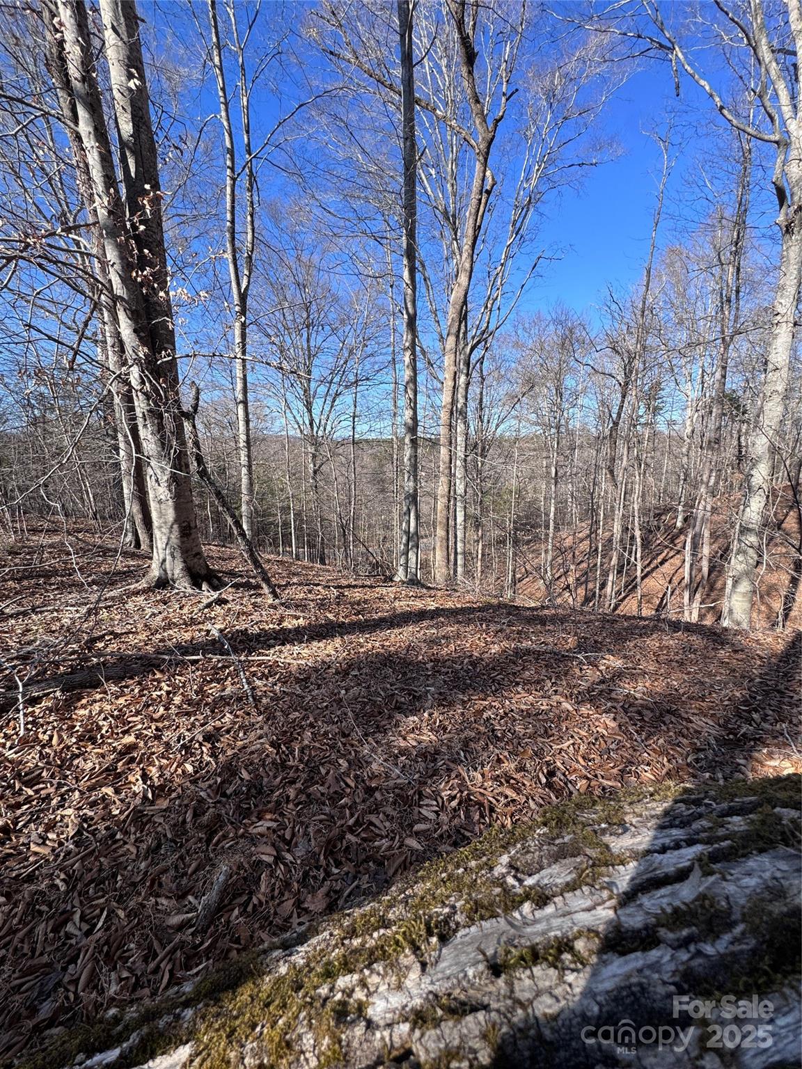 0 Cross Creek Drive Rutherfordton NC 28139