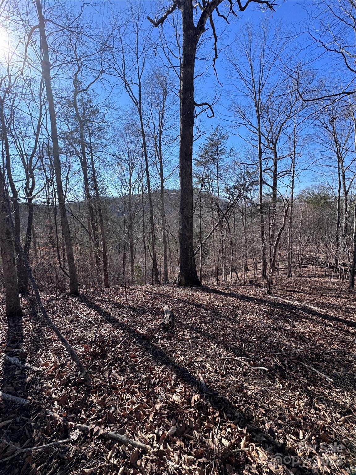 0 Cross Creek Drive Rutherfordton NC 28139