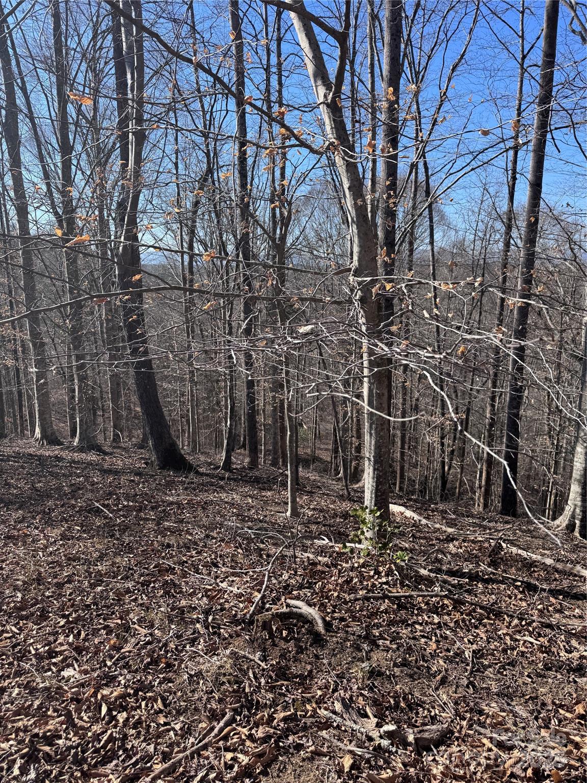 0 Cross Creek Drive Rutherfordton NC 28139