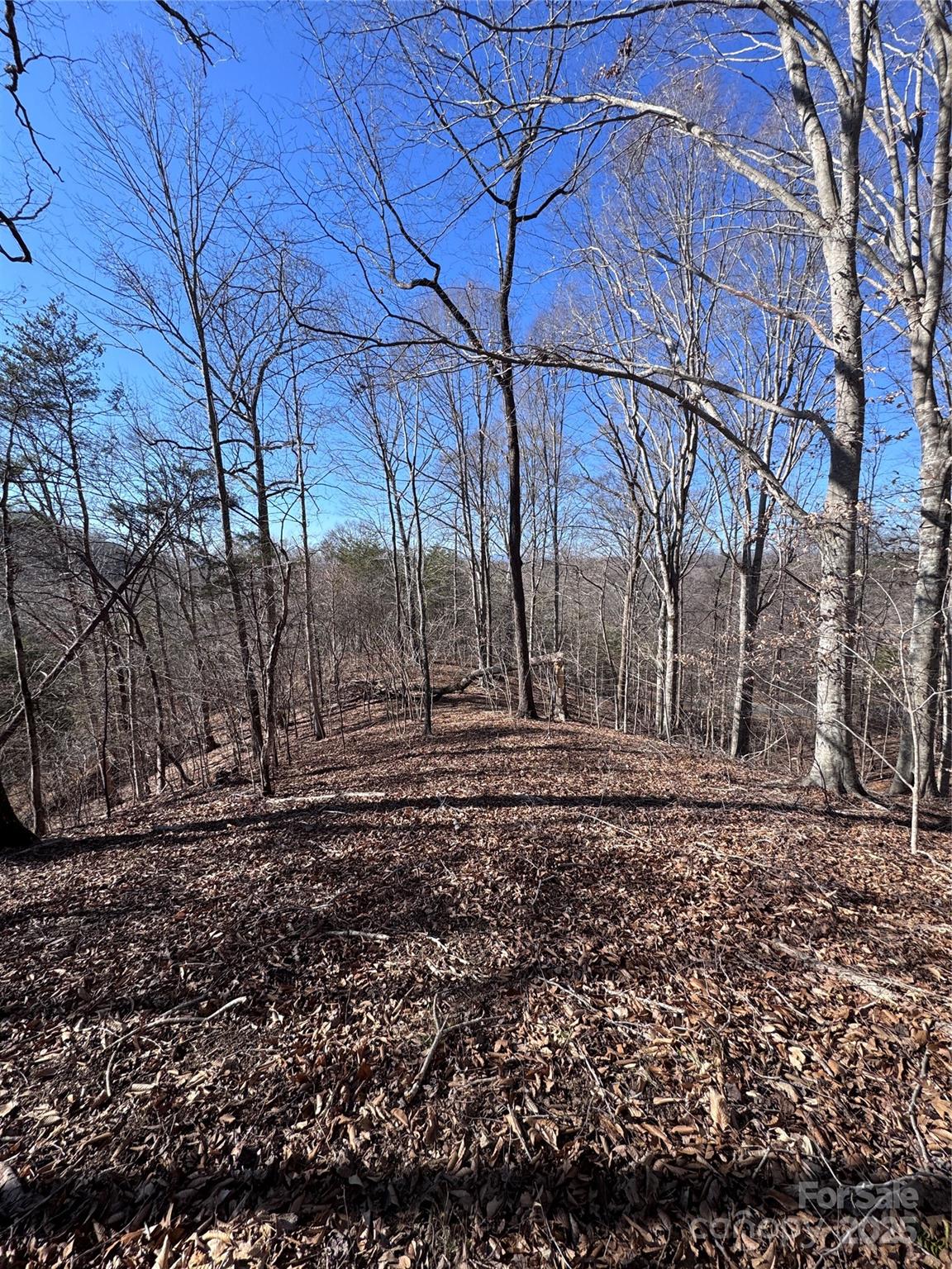 0 Cross Creek Drive Rutherfordton NC 28139