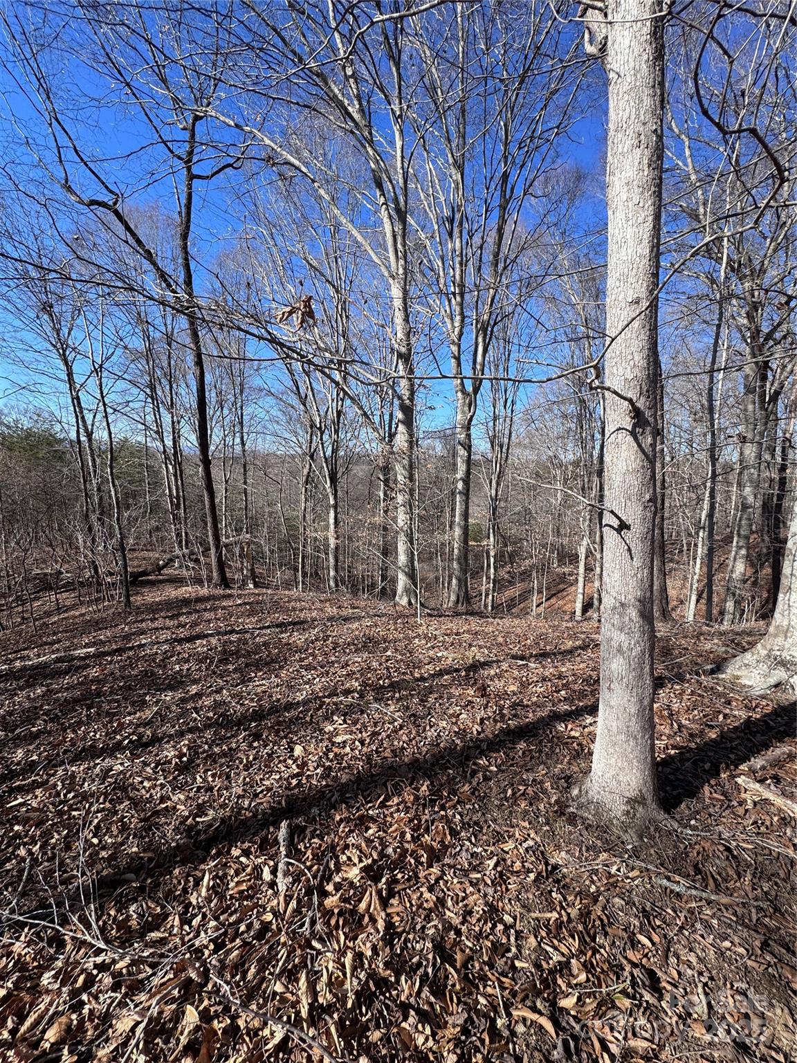 0 Cross Creek Drive Rutherfordton NC 28139
