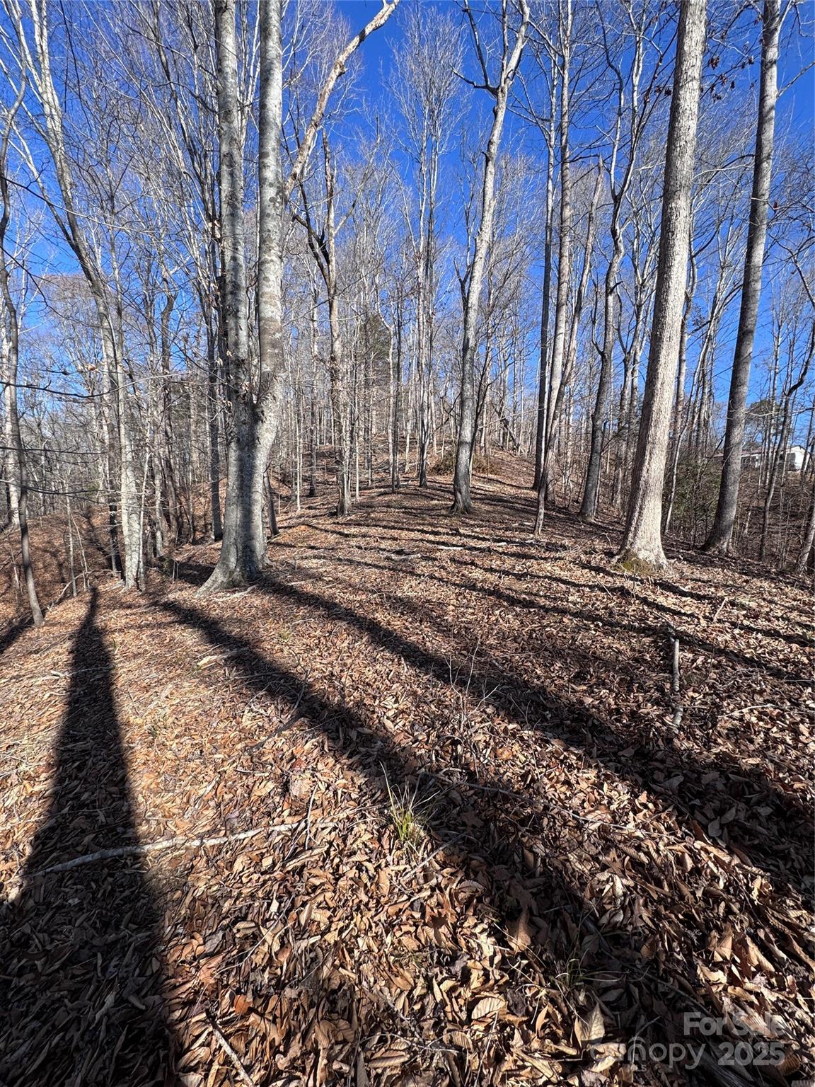 0 Cross Creek Drive Rutherfordton NC 28139