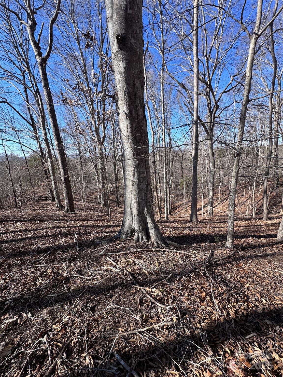 0 Cross Creek Drive Rutherfordton NC 28139