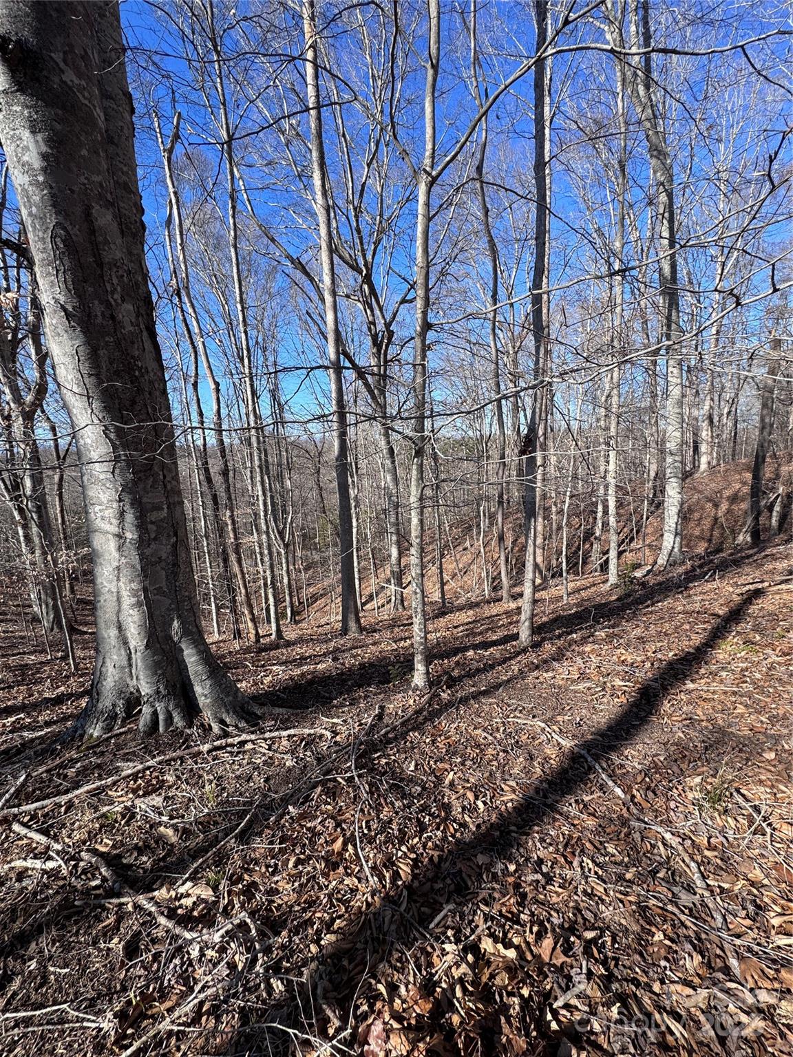 0 Cross Creek Drive Rutherfordton NC 28139