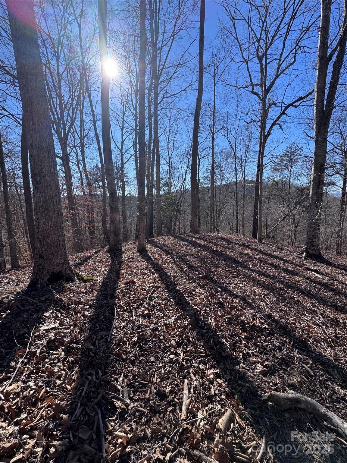 0 Cross Creek Drive Rutherfordton NC 28139