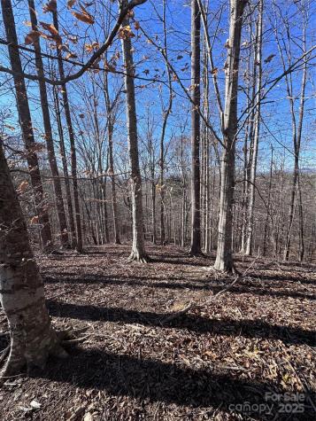 0 Cross Creek Drive Rutherfordton NC 28139