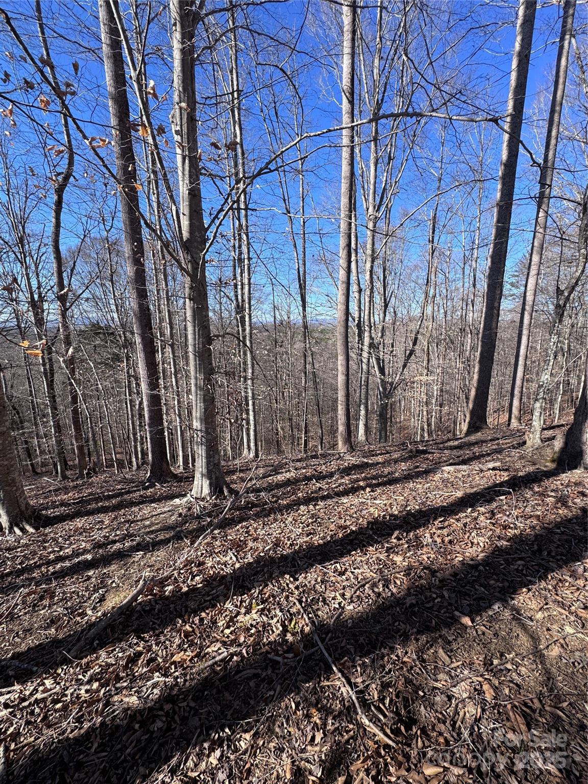 0 Cross Creek Drive Rutherfordton NC 28139