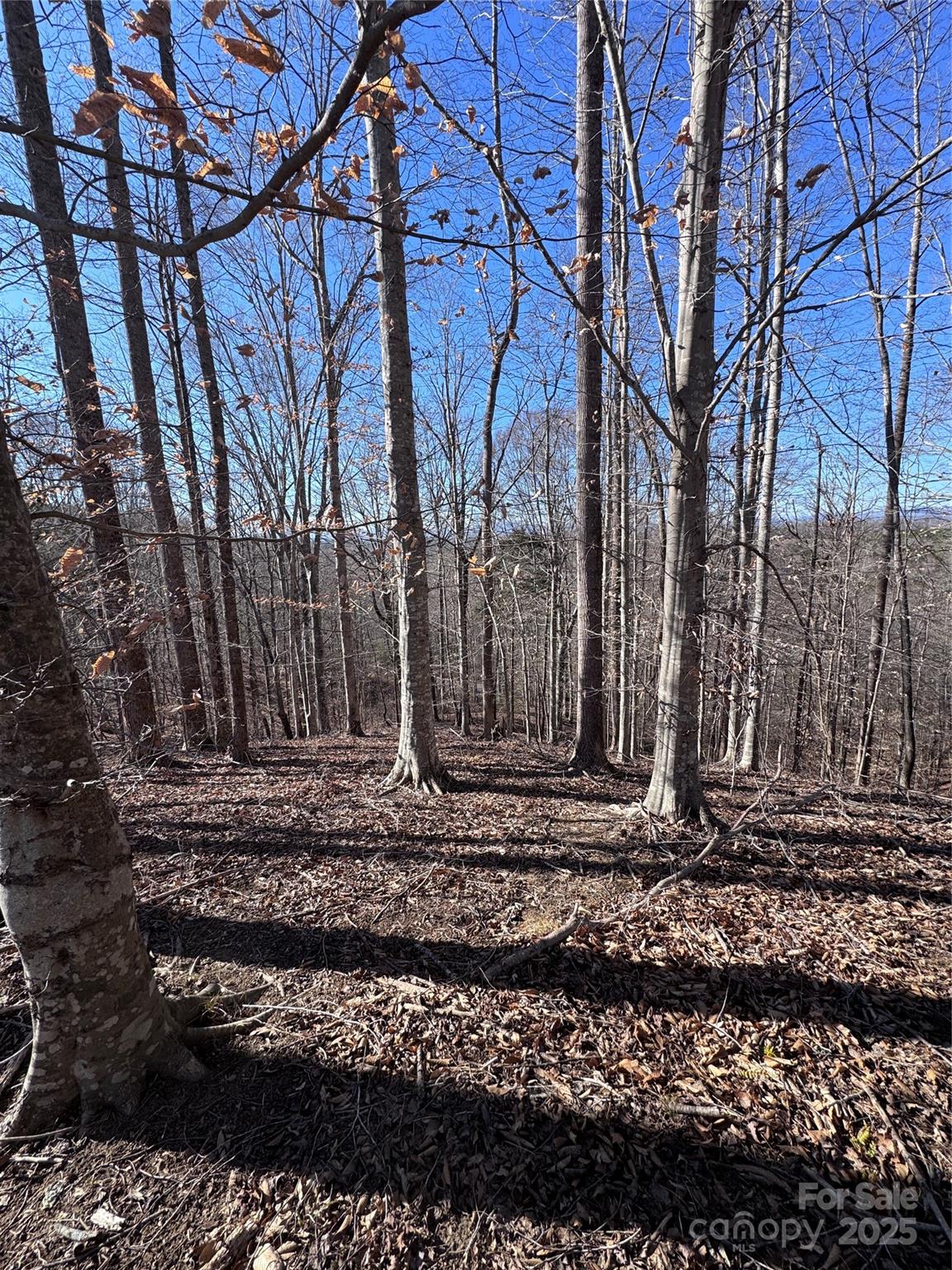 0 Cross Creek Drive Rutherfordton NC 28139