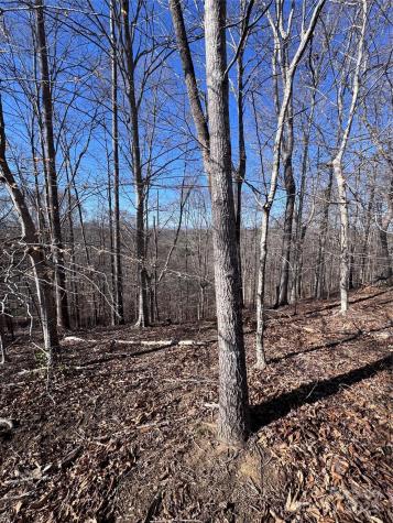 0 Cross Creek Drive Rutherfordton NC 28139
