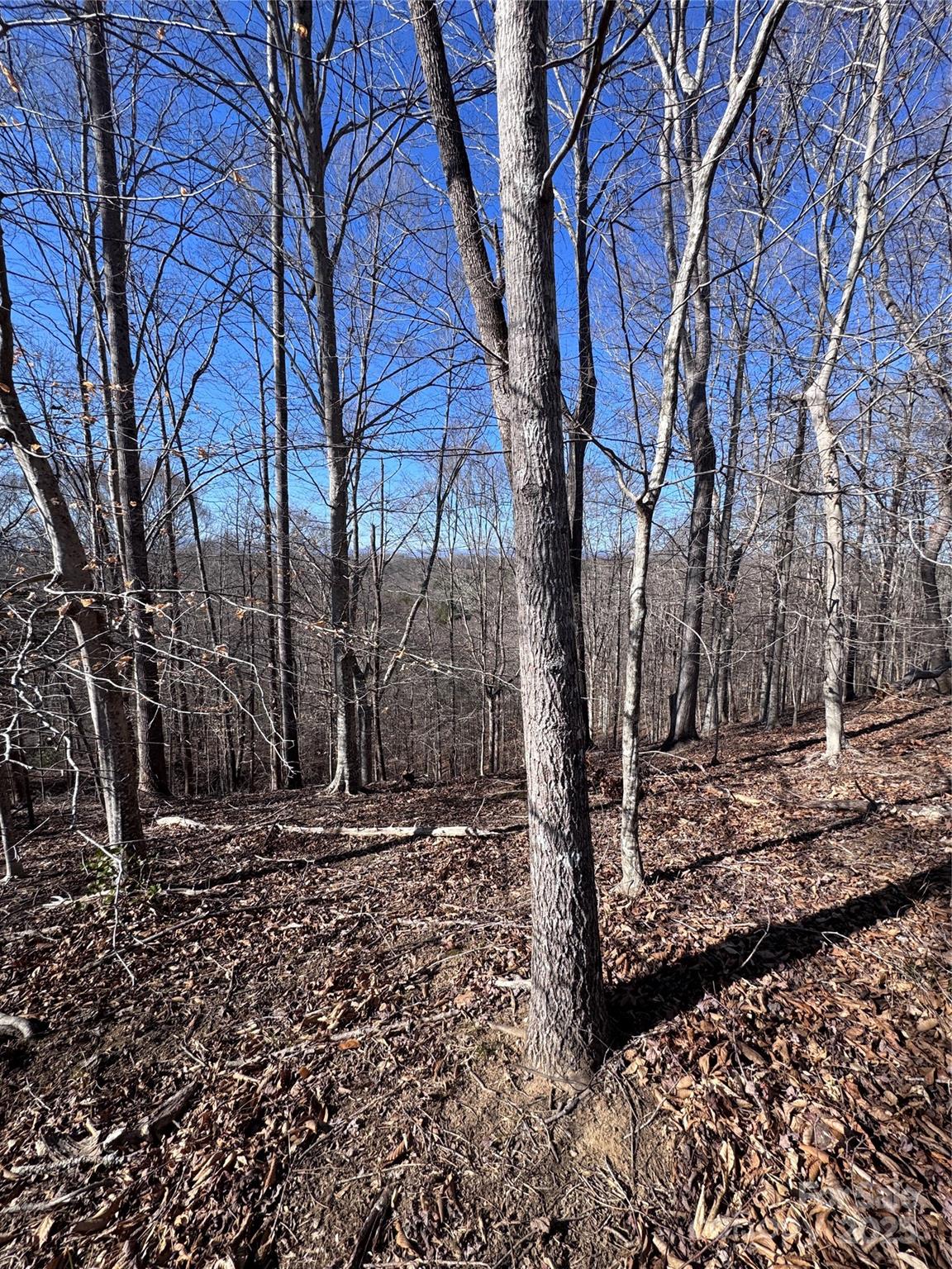 0 Cross Creek Drive Rutherfordton NC 28139