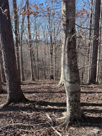 0 Cross Creek Drive Rutherfordton NC 28139