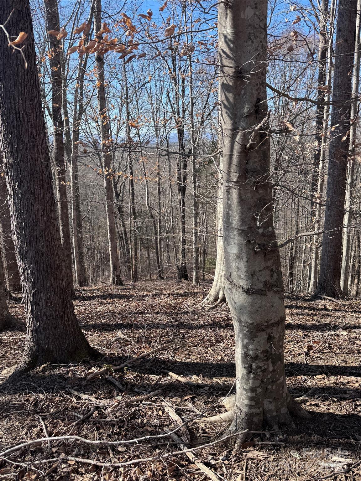 0 Cross Creek Drive Rutherfordton NC 28139