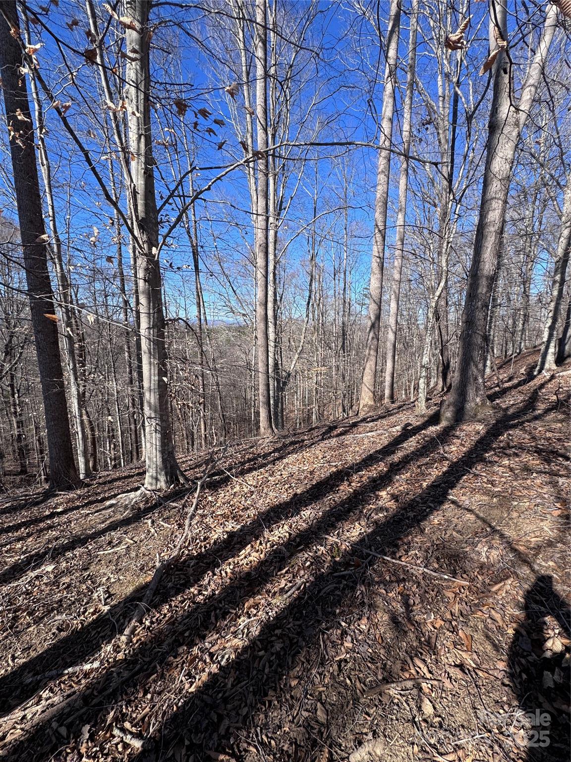 0 Cross Creek Drive Rutherfordton NC 28139