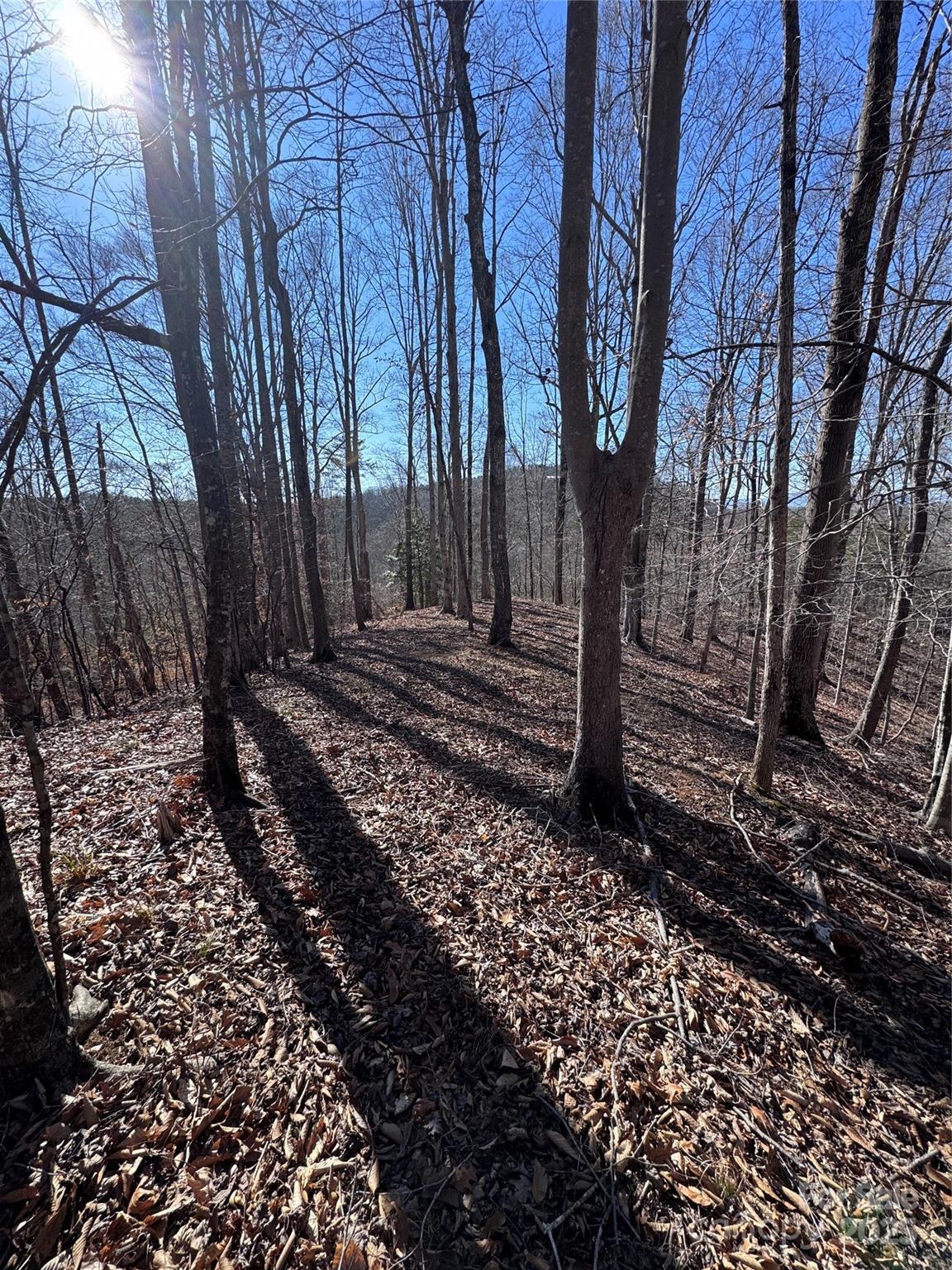 0 Cross Creek Drive Rutherfordton NC 28139