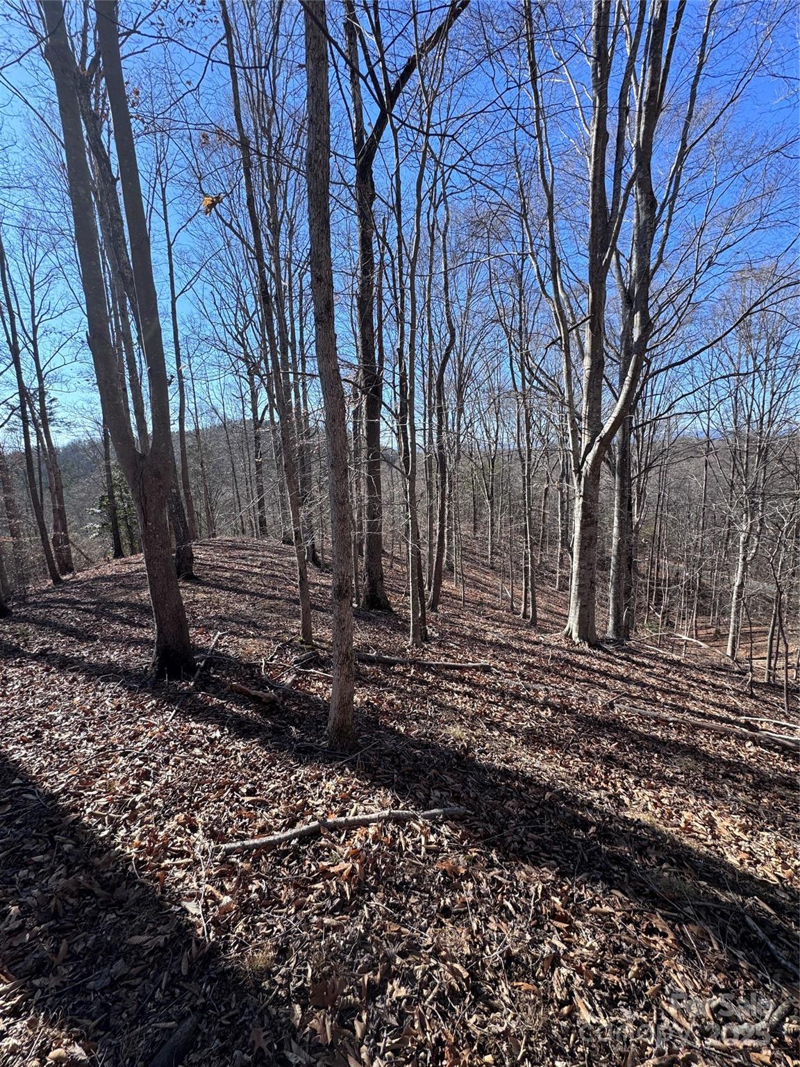 0 Cross Creek Drive Rutherfordton NC 28139