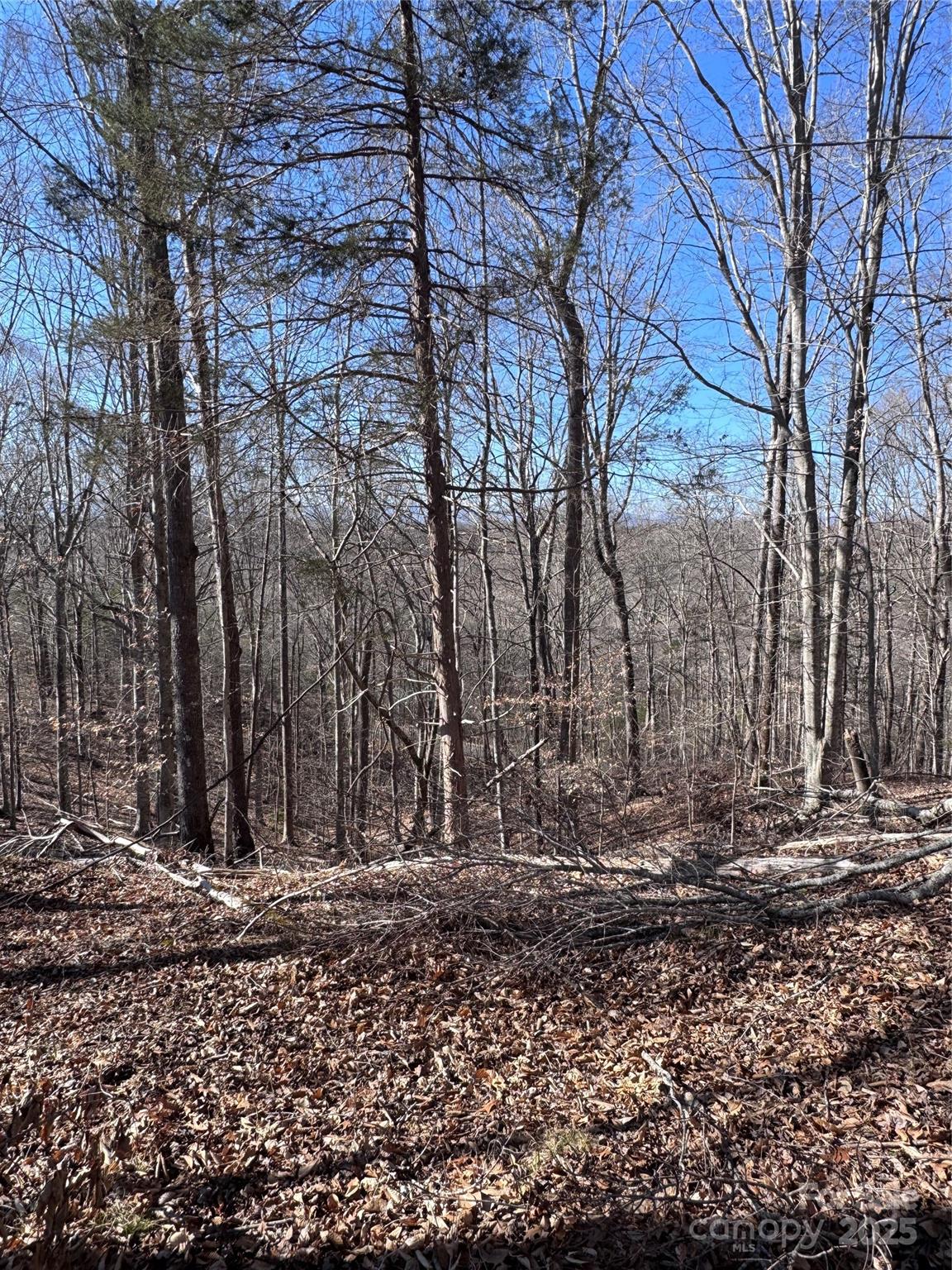 0 Cross Creek Drive Rutherfordton NC 28139