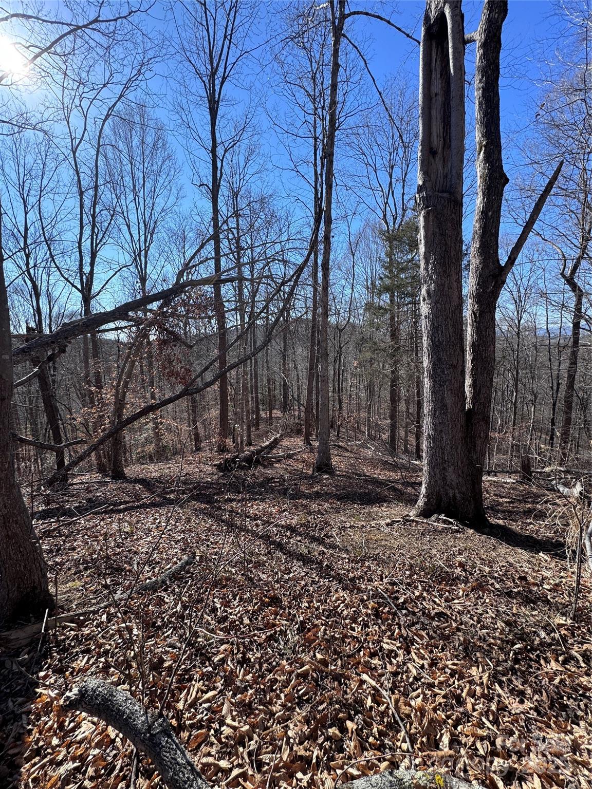 0 Cross Creek Drive Rutherfordton NC 28139