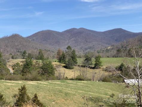 1 Pink Fox Cove Road Weaverville NC 28787