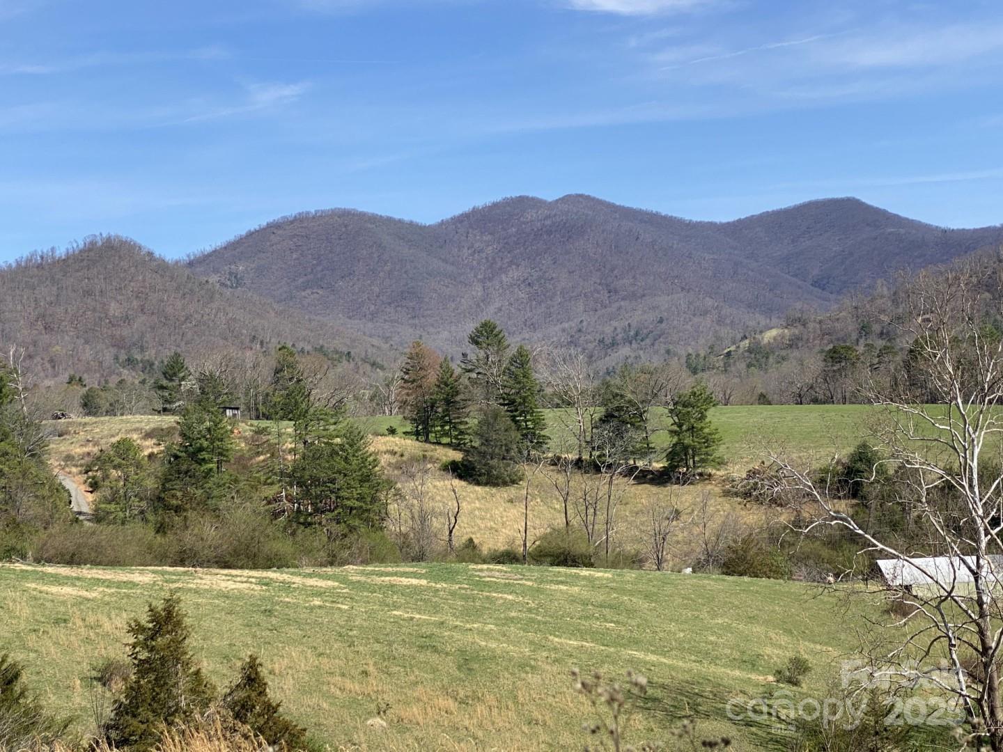 1 Pink Fox Cove Road Weaverville NC 28787