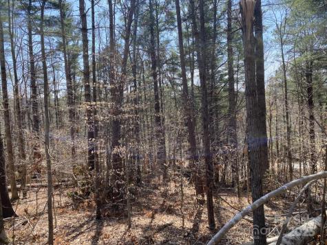 1 Pink Fox Cove Road Weaverville NC 28787