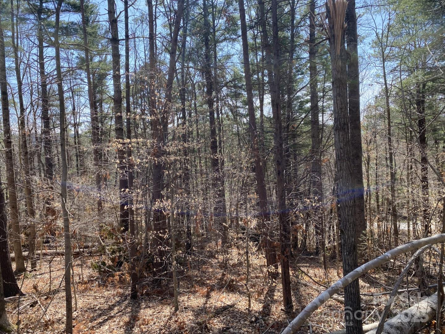 1 Pink Fox Cove Road Weaverville NC 28787