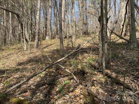1 Pink Fox Cove Road Weaverville NC 28787