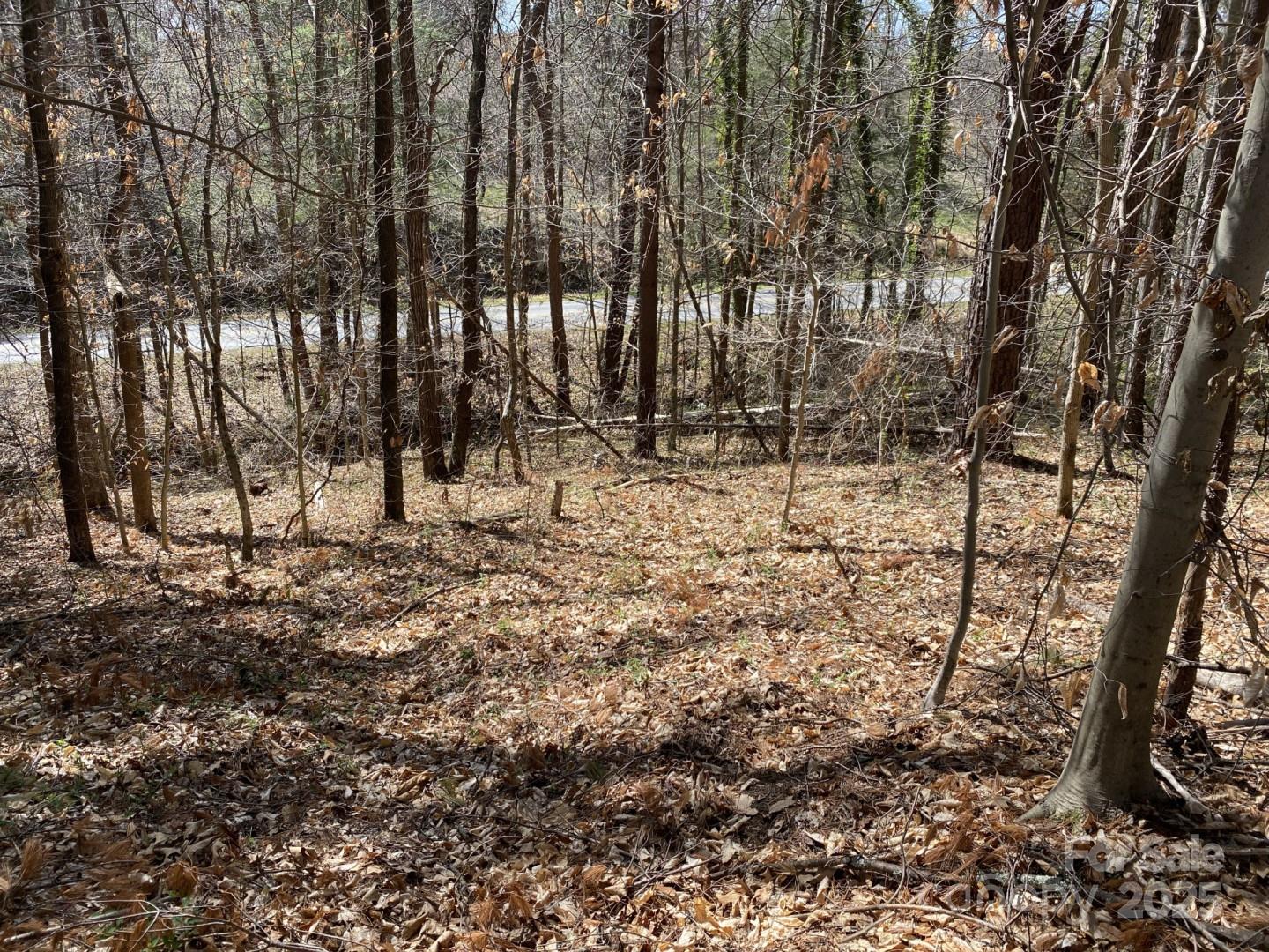 1 Pink Fox Cove Road Weaverville NC 28787