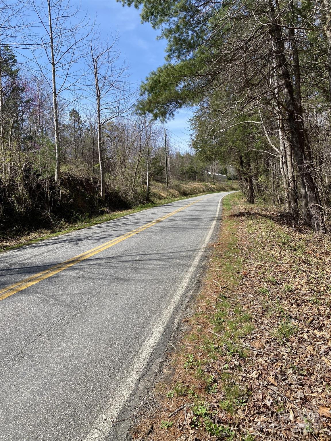 1 Pink Fox Cove Road Weaverville NC 28787
