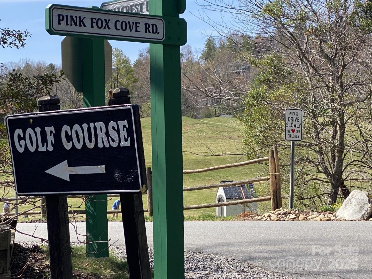 1 Pink Fox Cove Road Weaverville NC 28787