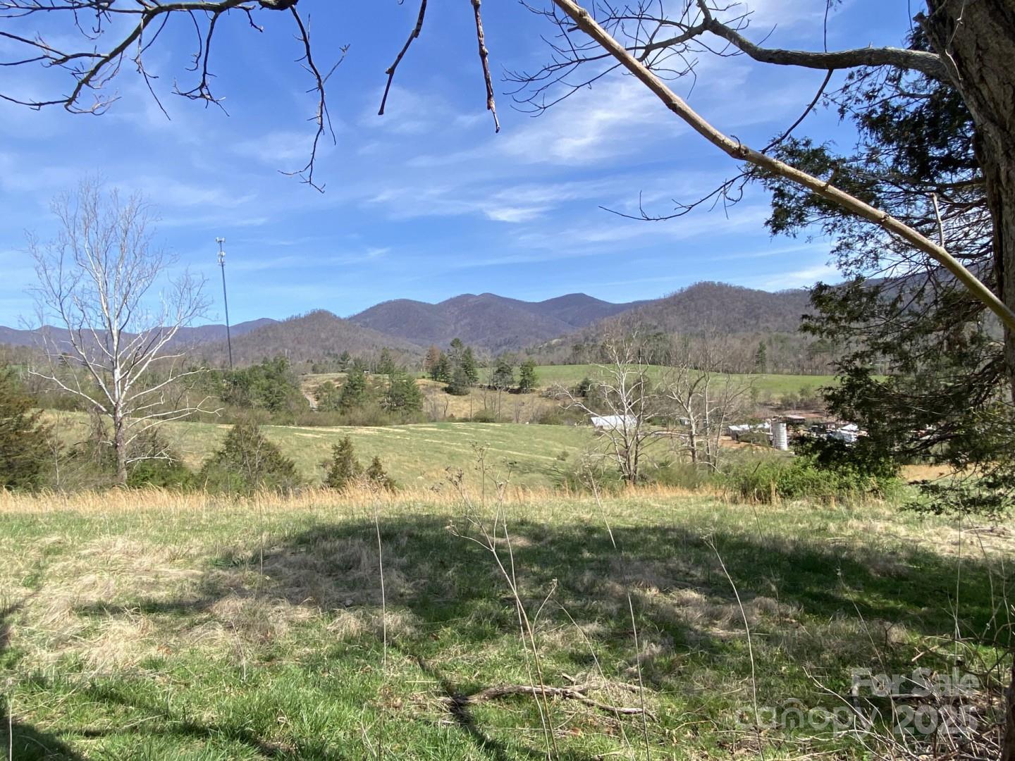 1 Pink Fox Cove Road Weaverville NC 28787