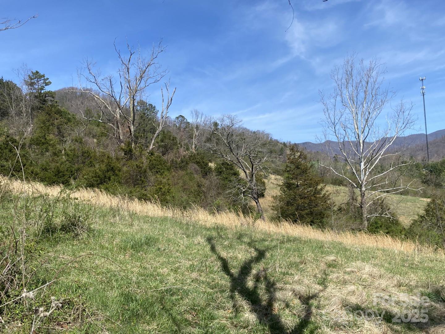 1 Pink Fox Cove Road Weaverville NC 28787