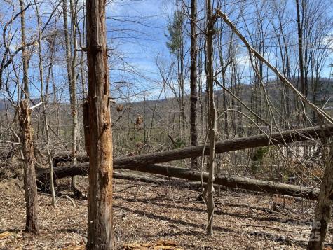 1 Pink Fox Cove Road Weaverville NC 28787
