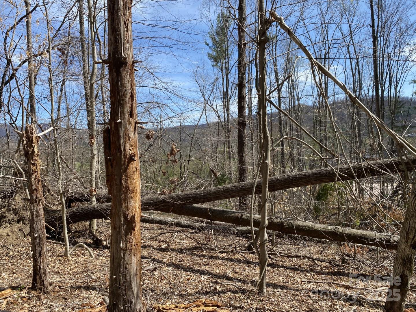 1 Pink Fox Cove Road Weaverville NC 28787