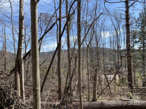 1 Pink Fox Cove Road Weaverville NC 28787