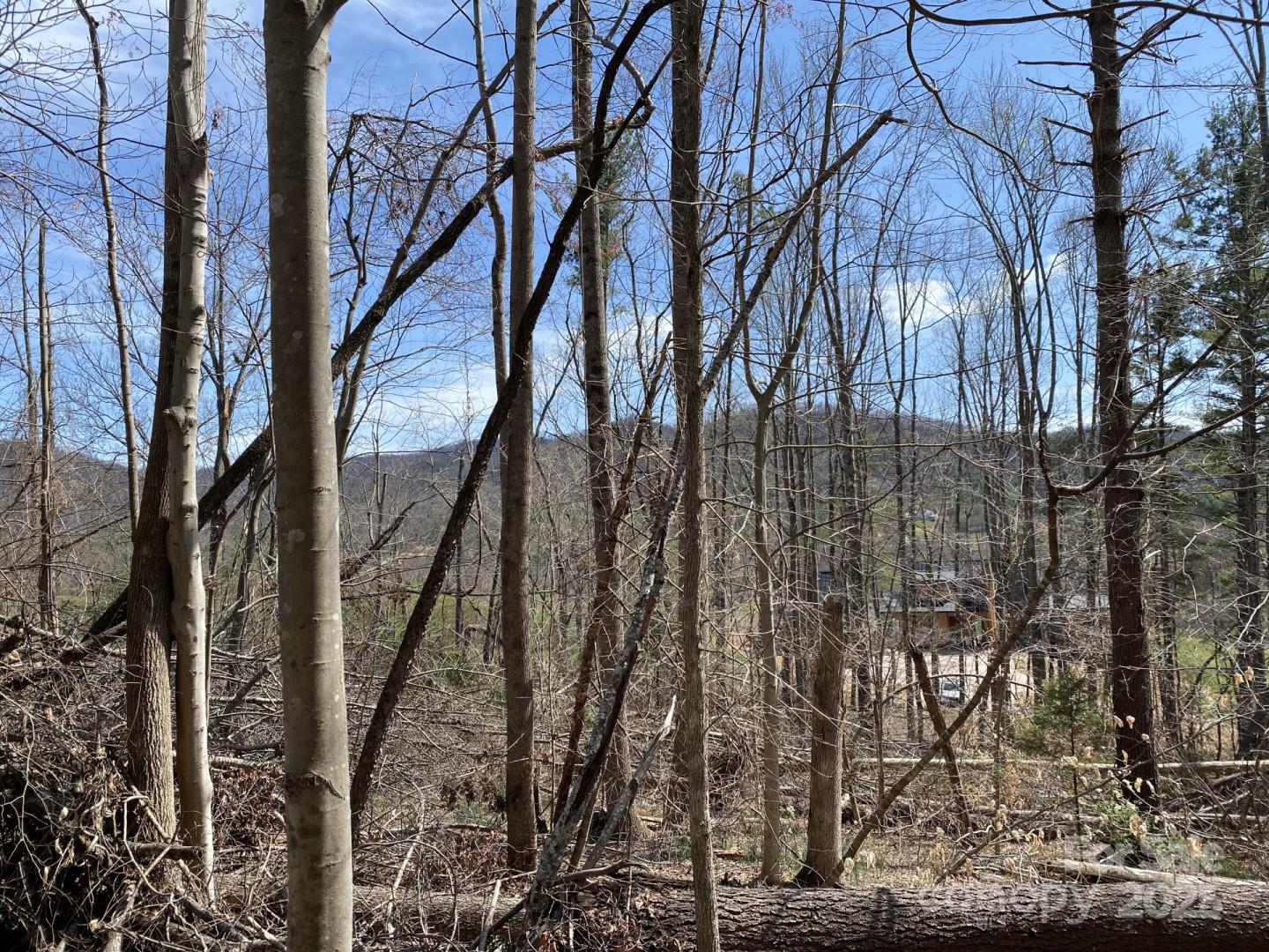 1 Pink Fox Cove Road Weaverville NC 28787