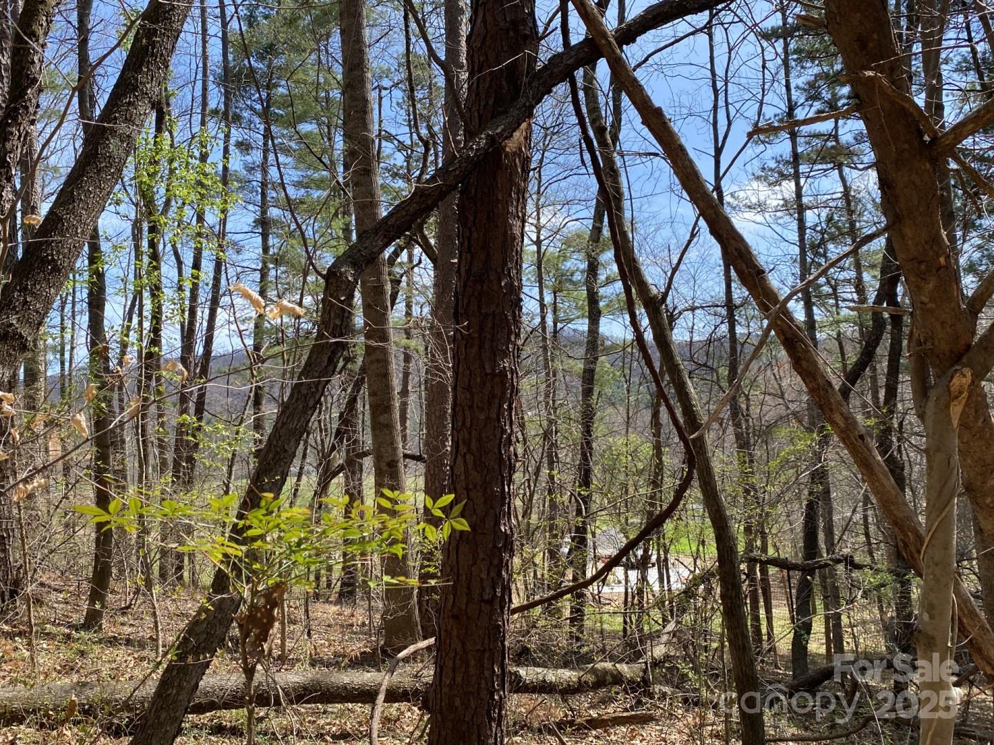 1 Pink Fox Cove Road Weaverville NC 28787
