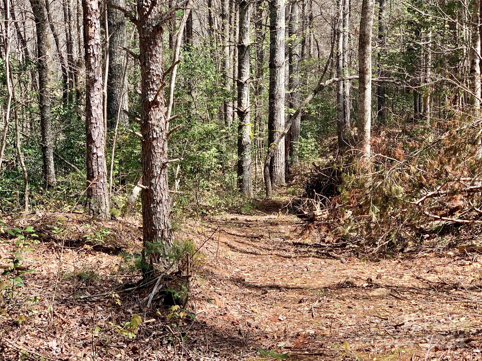 4.73 Acres, Lot 376 Table View Lane Lenoir NC 28645