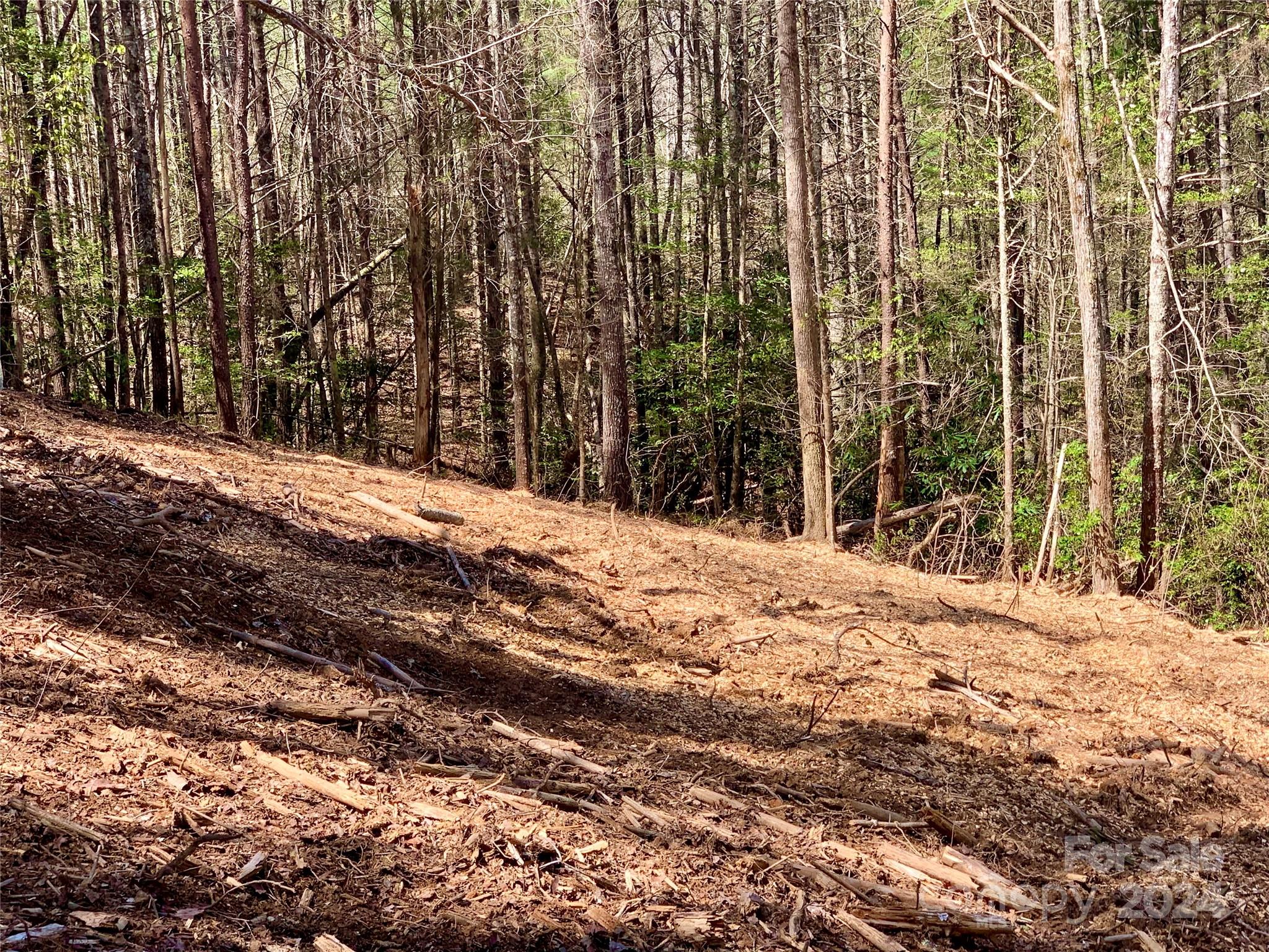 4.73 Acres, Lot 376 Table View Lane Lenoir NC 28645