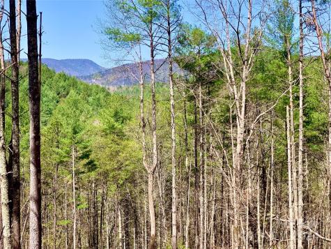 4.73 Acres, Lot 376 Table View Lane Lenoir NC 28645