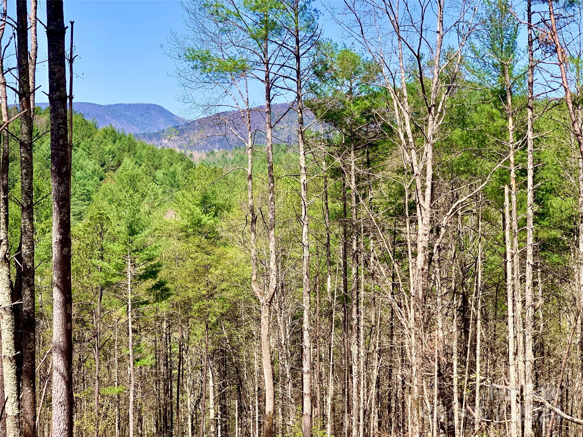 4.73 Acres, Lot 376 Table View Lane Lenoir NC 28645