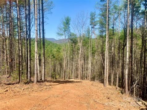 4.73 Acres, Lot 376 Table View Lane Lenoir NC 28645