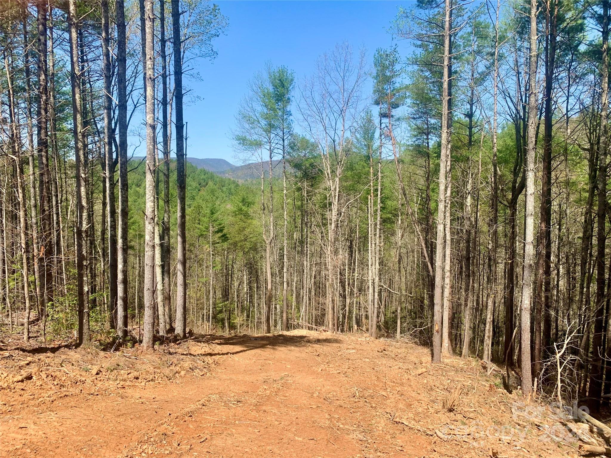 4.73 Acres, Lot 376 Table View Lane Lenoir NC 28645
