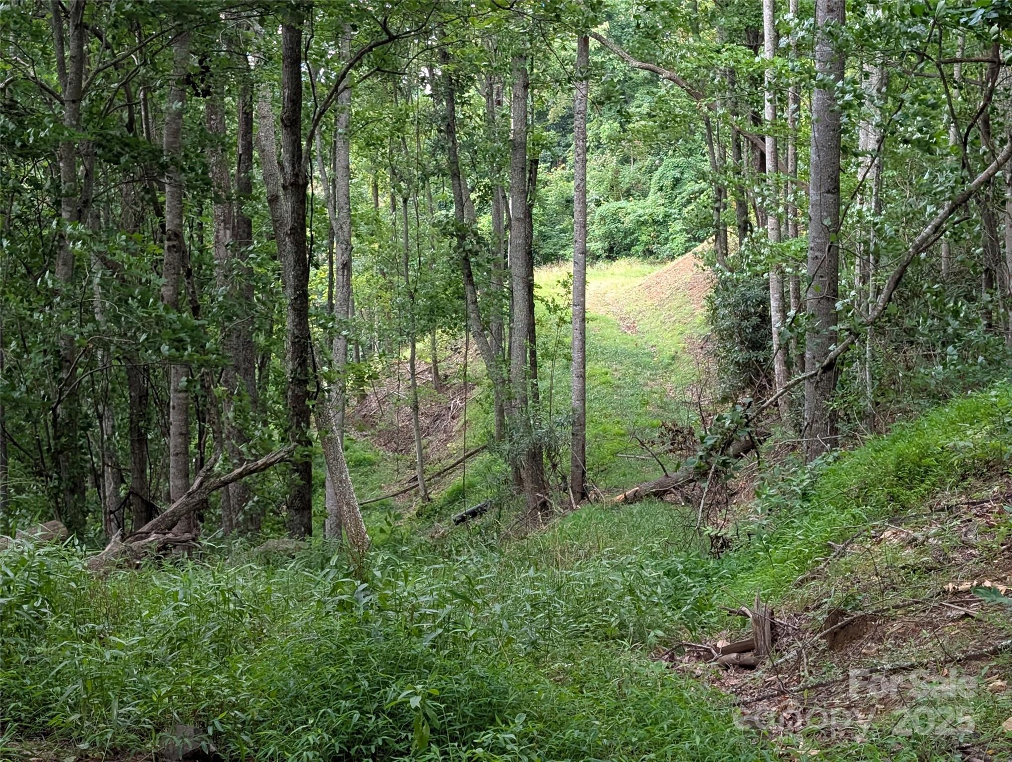 99999 Running Deer Lane Mars Hill NC 28754