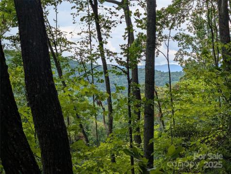99999 Running Deer Lane Mars Hill NC 28754