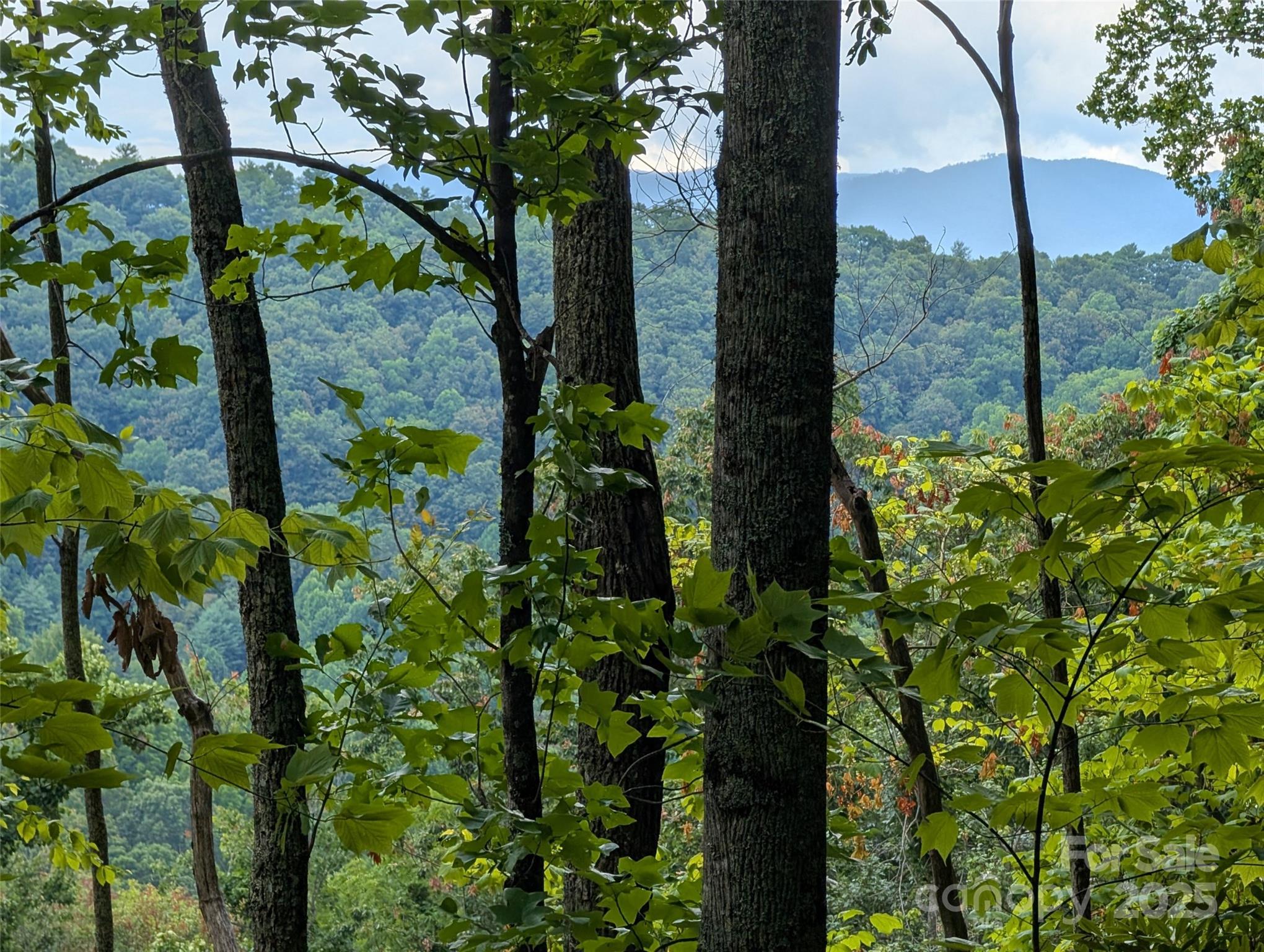 99999 Running Deer Lane Mars Hill NC 28754