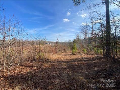 0 Johnny Shaw Road Moncure NC 27599