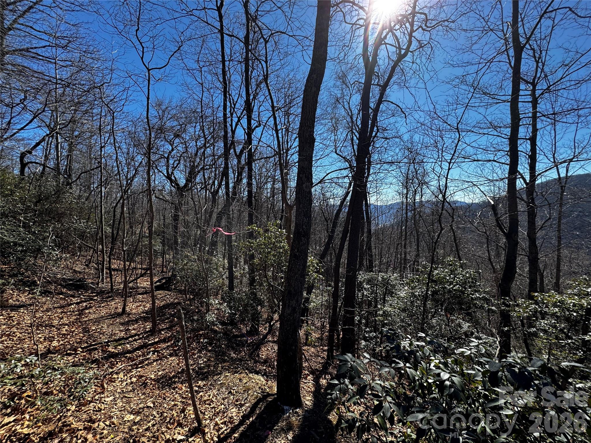 Tbd Acacia Court Black Mountain NC 28711